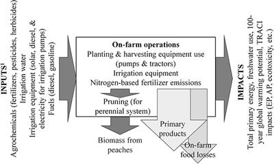 An Evaluation of On-Farm Food Loss Accounting in Life-Cycle Assessment (LCA) of Four California Specialty Crops